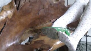 Hot blonde shows off her adorable feet wearing stockings